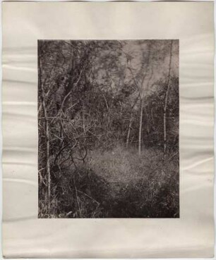 "Hausstelle nahe Mound 6."