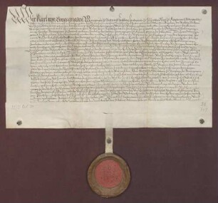 Markgraf Carl II. von Baden-Durlach belehnt seinen Kanzler Martin Amelius und dessen Erben mit verschiedenen Gütern und Rechten zu Niefern