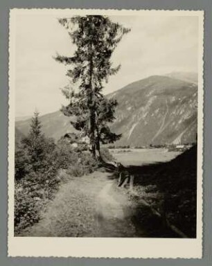 Bei Mayrhofen