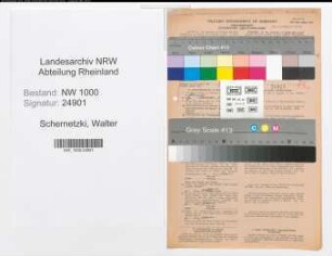 Entnazifizierung Walter Schernetzki, geb. 28.09.1906 (Kraftfahrer)
