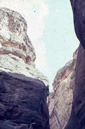 Petra Sik