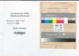 Entnazifizierung Herbert Neef , geb. 10.06.1904 (Steuerassistent)