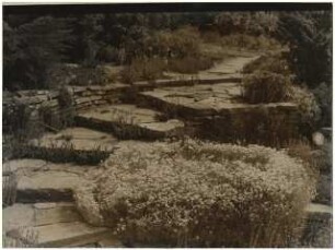 Zuckerraffinerie Fr. Meyers Sohn, Tangermünde: Treppe im Stein-Senkgarten