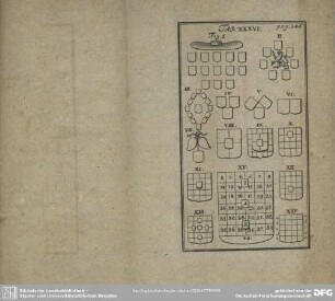 Tab. XXXVI.