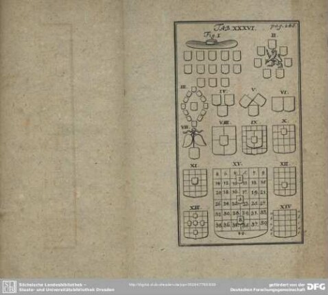 Tab. XXXVI.