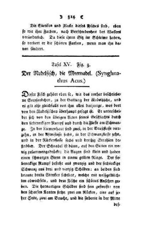 ¬Der¬ Nadelfisch, die Meernadel : (Synghnathus Acus) ; Tafel XV, Fig. 3