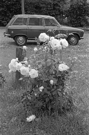 In Worpswede mit Peugeot 304 Break
