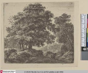 [Eine Mutter unterwegs mit ihren Kindern; A mother and three children under way]