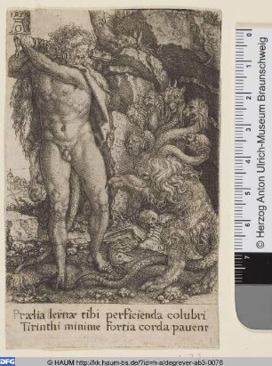 Herkules kämpft gegen die Hydra von Lerna