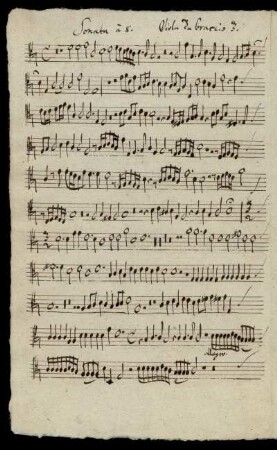 Viola da braccio 3