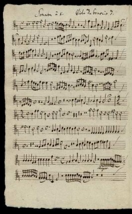 Viola da braccio 3