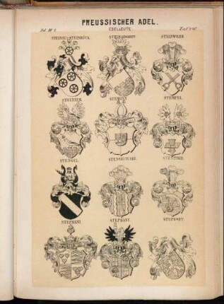 Taf. 440. Steinau v. Steinrück. - Steinsdorff. - Steinwehr. - Steltzer. - Stemann. - Stempel. - Stengel. - Stenszewski. - Stentzsch. - Stephani. - Stephany. - Steprodt