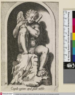 Cupido cogitans apud quedé nobilis