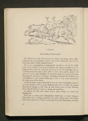 Auf ruheloser Wanderschaft