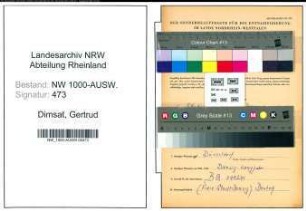 Entnazifizierung Gertrud Dimsat, geb. 26.05.1909 ()