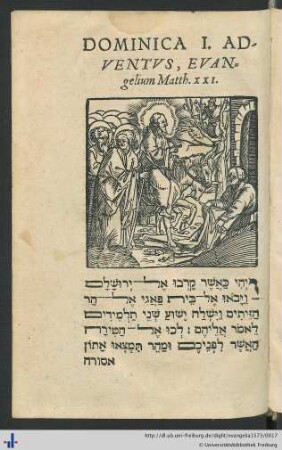Dominica I. Adventus, Evangelium Matth. XXI.