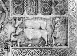 Spoleto, Italien, S. Pietro, Reliefs der Westfassade um 1200 / 1300, "Pflügende Ochsen"