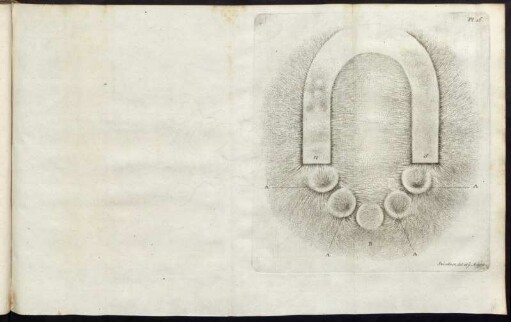 Pl. 16. - Pl. 20.