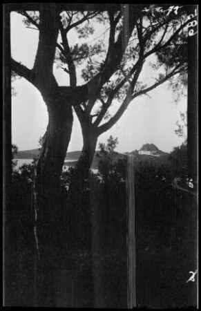 Landschaft [Aiwalyk (= Ayvalýk, Prov. Balýkesir, Türkei)]