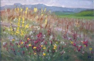 unbenannt [Blumenwiese]