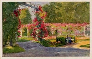 Postkartenalbum mit Motiven von Karlsruhe. "Stadtgarten Karlsruhe". Rosengarten im Stadtgarten