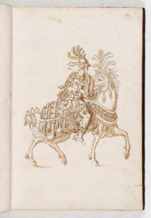 Reiter mit prunkvollem Harnisch auf einem Pferd mit Prachtreitzeug, in: Equestrium statuarum [...] formae [...] artificiosissime pictis, Bl. 14