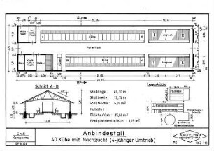 Anbindestall, 40 Kühe mit Nachzucht