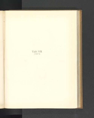 Tafel VII. (Tafel I.)