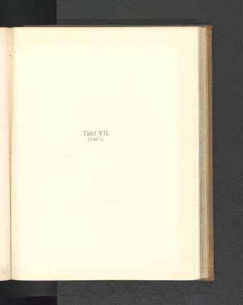 Tafel VII. (Tafel I.)