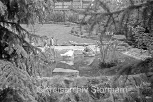 Heilsauring: Garten: Teich mit Tierplastiken: hinten Rasen, Blumebeete und Haus: vorn Tannenzweige