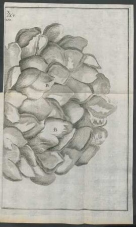 Tab. X.2