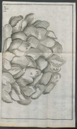 Tab. X.2