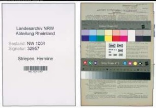 Entnazifizierung Hermine Striepen , geb. 04.11.1919 (Buchhalterin)