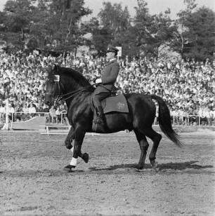 Moritzburger Hengstparade. Reiter in Uniform beim Vorführen verschiedener Gangarten