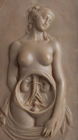 Gynäko-anatomisches Halbrelief "Marburger Venus"