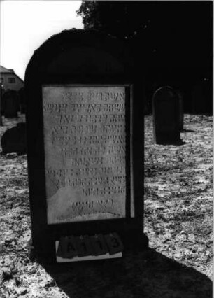 Grabstein 113 (Index: 99798105) Material: Sandstein, rot Zustand: leicht verwittert Maße HxBxT: 120x63x13 cm Beschreibung: Stele, Rundbogenabschluß: Grabstein 113A