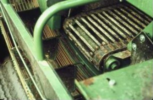 Fotografie: Kartoffel, Erntetechnik, Kartoffelsammelroder, Reinigungstechnik