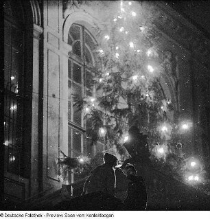 Weihnachtsbaum