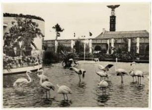 Gartenschau Sommerblumen am Funkturm, Berlin: Wasserbecken mit Flamingos, Ausstellungsgebäude im Hintergrund