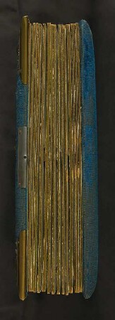 Familienalbum : Familienalbum. Samteinband mit Metallmontierung, Metallschließe und Goldschnitt; 27,5 x 21 x 6 cm (um 1890). Dresden: SLUB/DF 2017.C.78