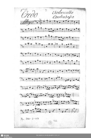 Violoncello / Contrabasso