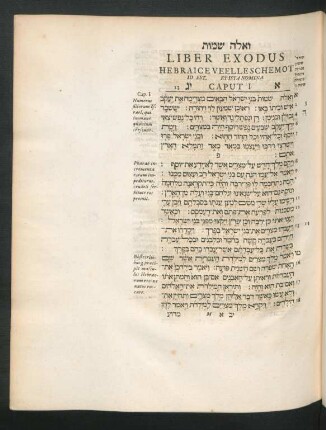 Liber Exodus Hebraice Veelleschemot ... Caput 1. - 40.