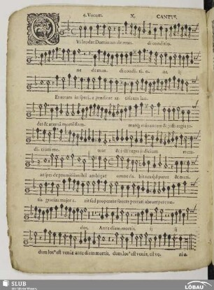 X. Qui laudat Dominum