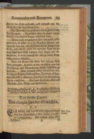 Das fünfte Capitel. Von einigen Zwiebel-Gewächsen.