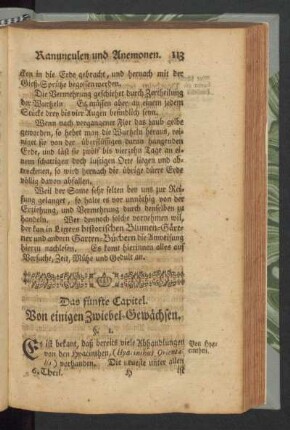 Das fünfte Capitel. Von einigen Zwiebel-Gewächsen.