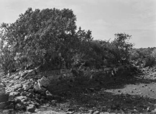 Tempel von Mariam Wakiro : Ruinen des Tempels von Mariam Wakiro nahe Qohaito