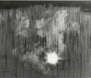 Sandwichprint von zwei Negativen, Sonne, Wasser, Wolken und Schilf