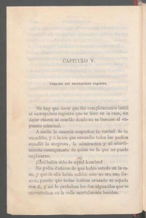 Capítulo V. - Después del escrupuloso registro.