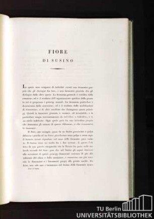 Fiore di Susino