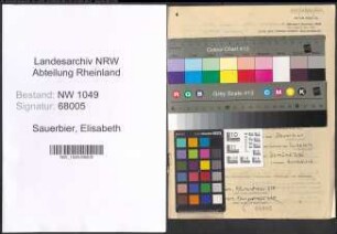 Entnazifizierung Elisabeth Sauerbier , geb. 03.02.1912 (Lehrerin)